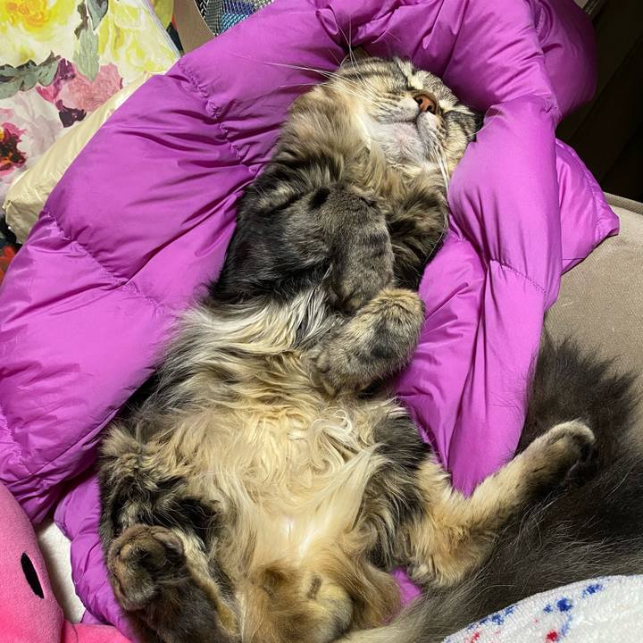 591ec10b 4d73 4794 a548 5f90bec1e2ef 1621689941447