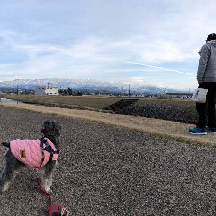 591ec8cd b3b6 4a5c 8cc9 d19743b5c731 1613299350473