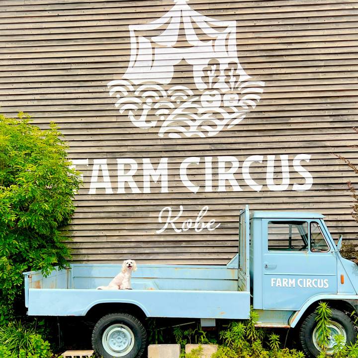 591edd09 ae13 4243 9222 86d1019358cc 1686635300731