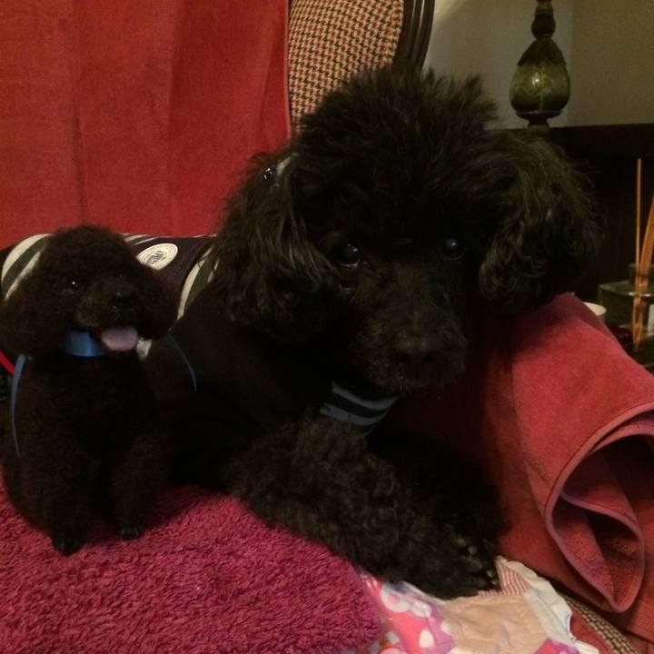 591f1f78 fa84 4416 9b89 736747f41680 1551861653712