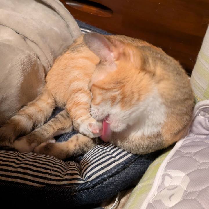 591f9152 a09f 49f1 a9c0 30c3614a042a 1759599605465