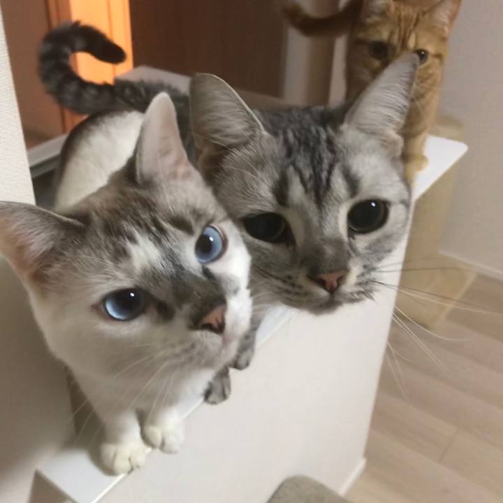 591f9710 43af 4a18 85dc 18a026b8422f 1538312782046