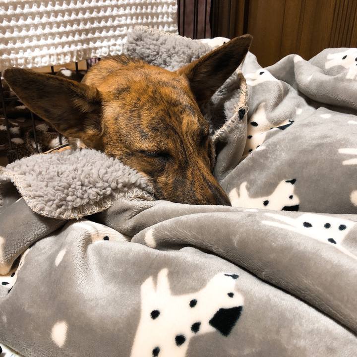 591fabaf 0807 4e6e b53e 10fc4885c619 1581259894154