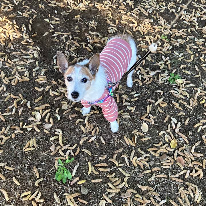 592019a5 91c4 4e35 a575 a02a8c6b8a8b 1732663628421