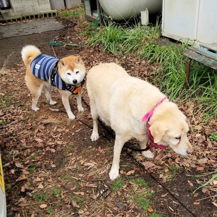 5920999f a785 483f b9cf cdd56b630585 1638764552784