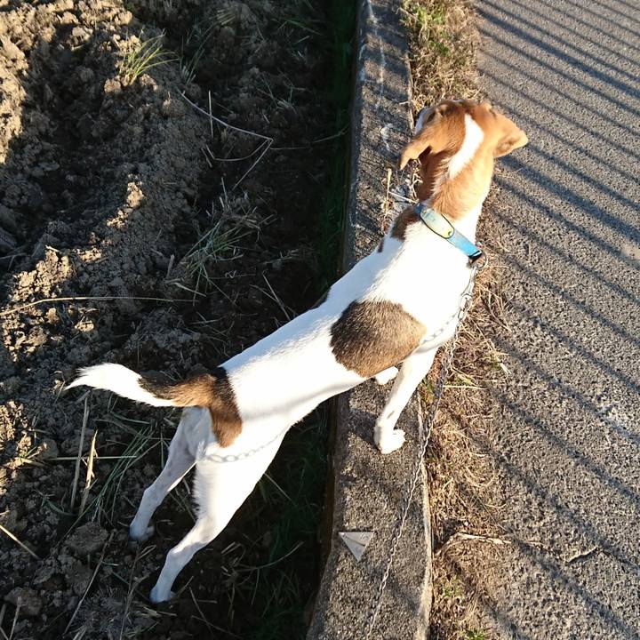 5920c9b1 f63d 4fa7 8de8 ff4220687745 1575098289396