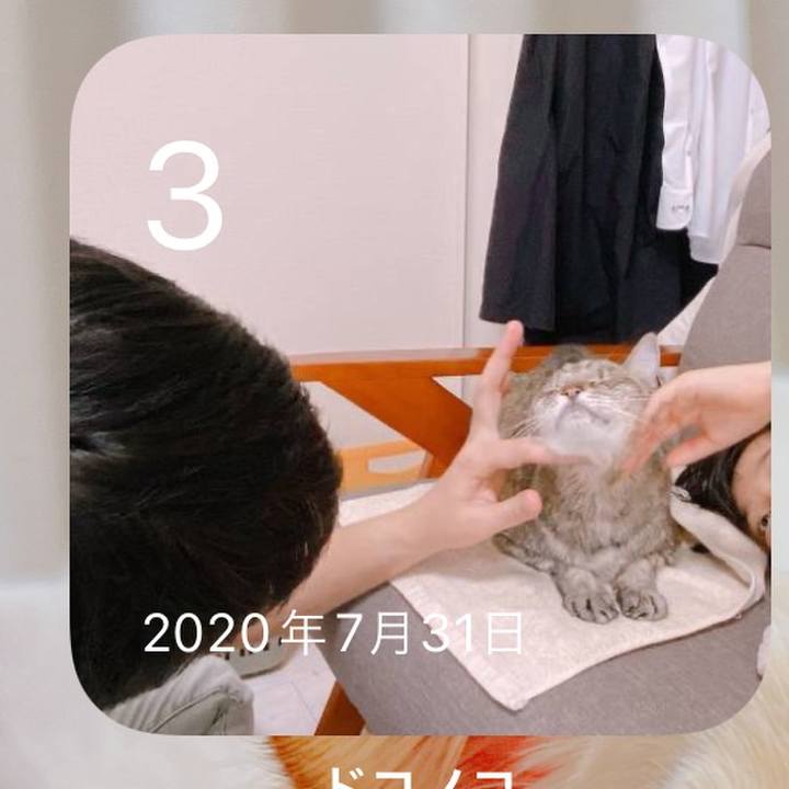 5920dd58 ff74 4a23 b338 e2a4288aae9c 1659513679573