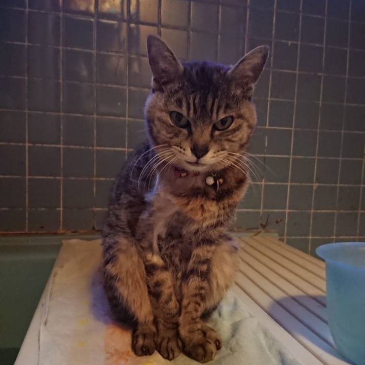 592100c6 7c3f 4846 97b1 c10aa3f0ef4e 1591438335568