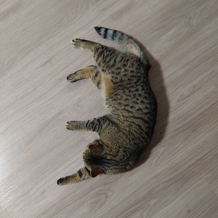 59211ac2 1797 475b 816c 6a767bffec83 1638735879952