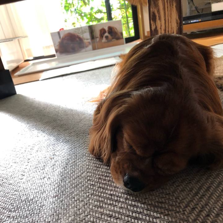 59212bd5 a482 4964 b692 f50b8d07d03b 1601680246046