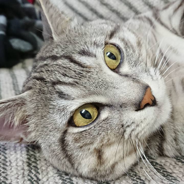 592135cc 1b20 47ee 8c1d f55053f64a57 1558337227433