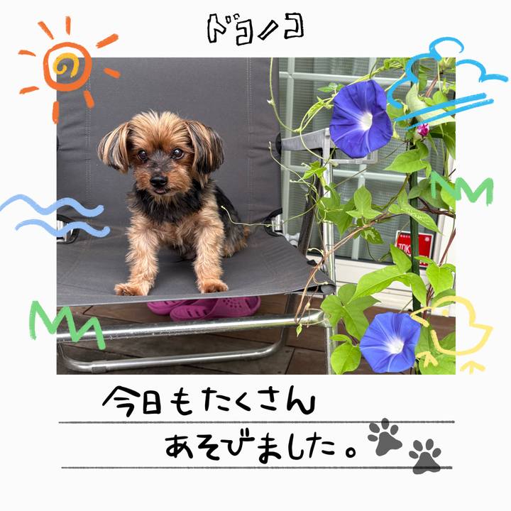 59214bac 20cb 47f0 90c7 087a7d996d57 1755054938134