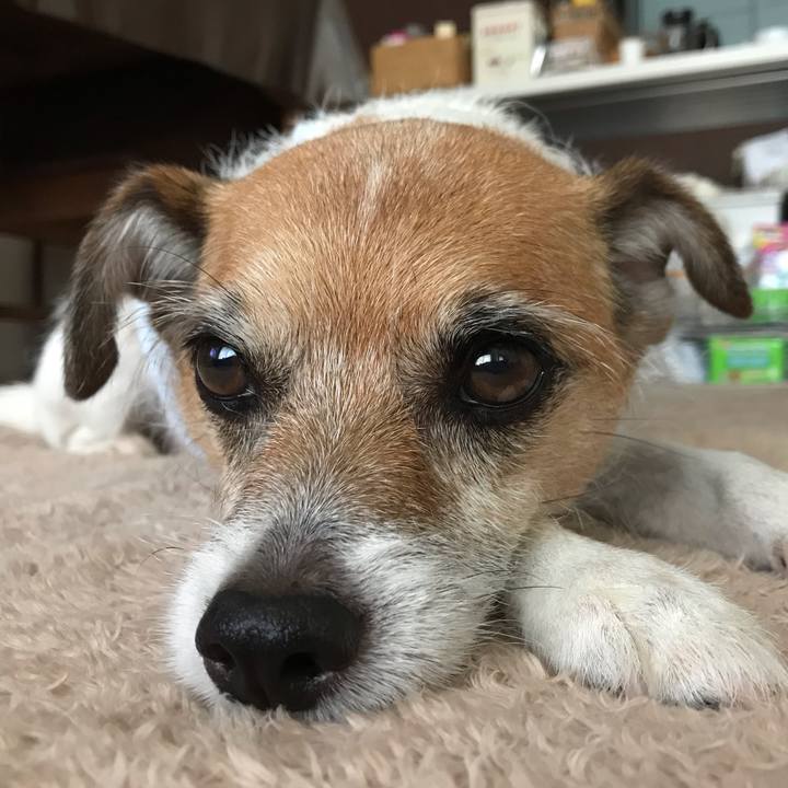 59217107 bb83 42ea 8599 2baee565442d 1563689732405