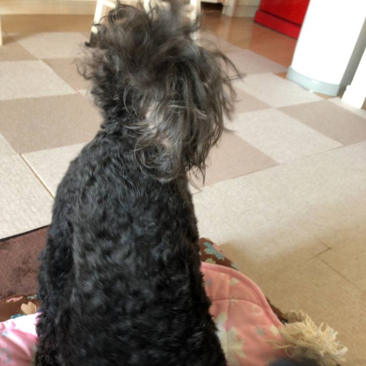 5921a073 4de8 4eaf b1da 4dcee1594b04 1559701716210