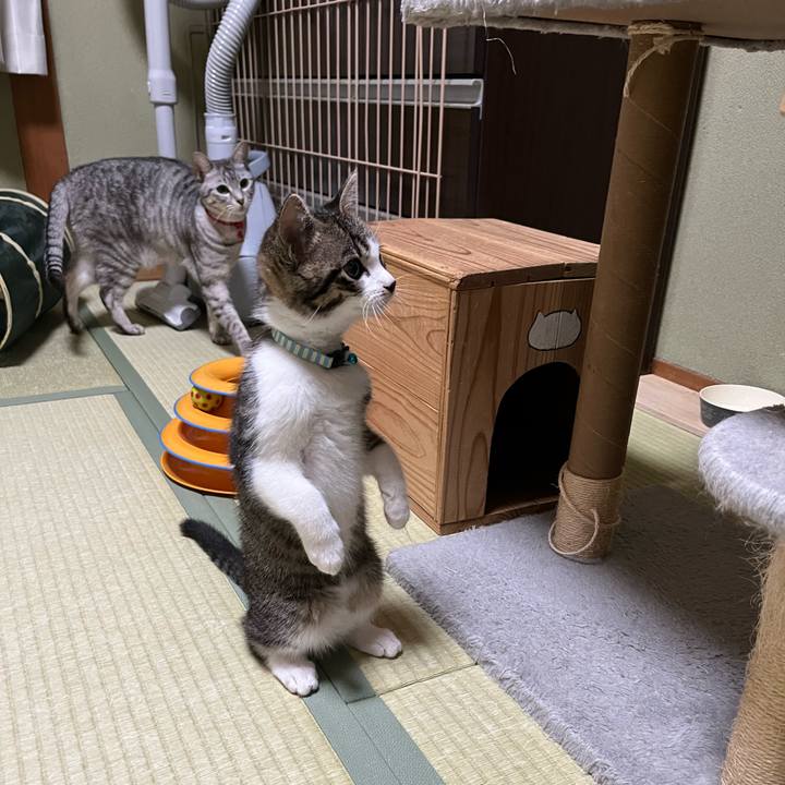 5921a145 ba90 45c5 9e60 e00684e06497 1768432517652