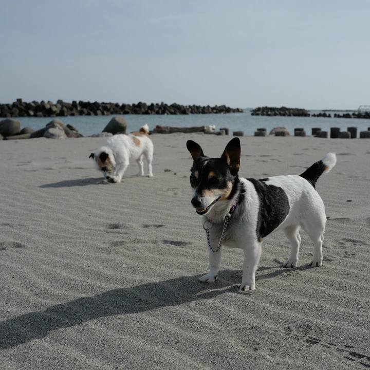 5921ef8b 8703 47b4 8e38 d21cc77a315e 1525579611678