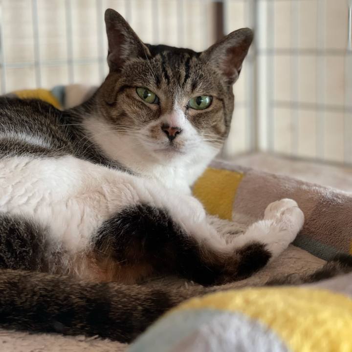 5921f25e 72e8 437d a3cc 65d7dd5d4b6d 1624931440803