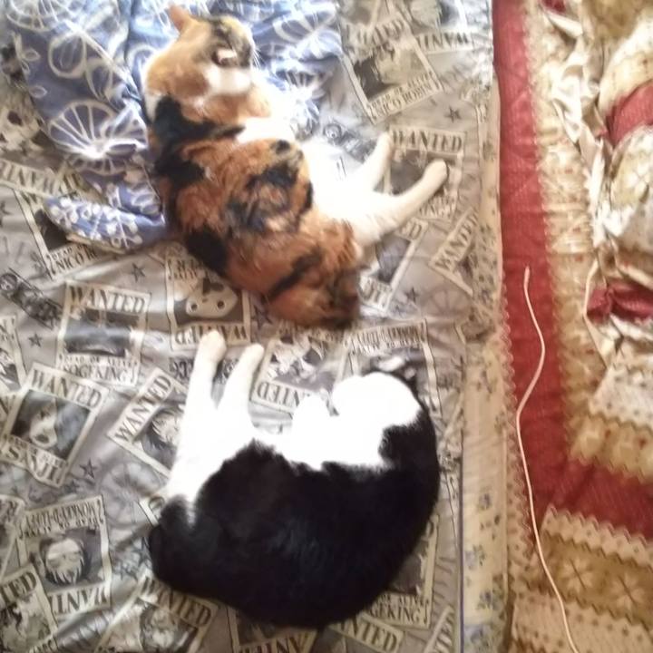 59224602 922f 43cb a6da 1dea00e288b8 1569721614317