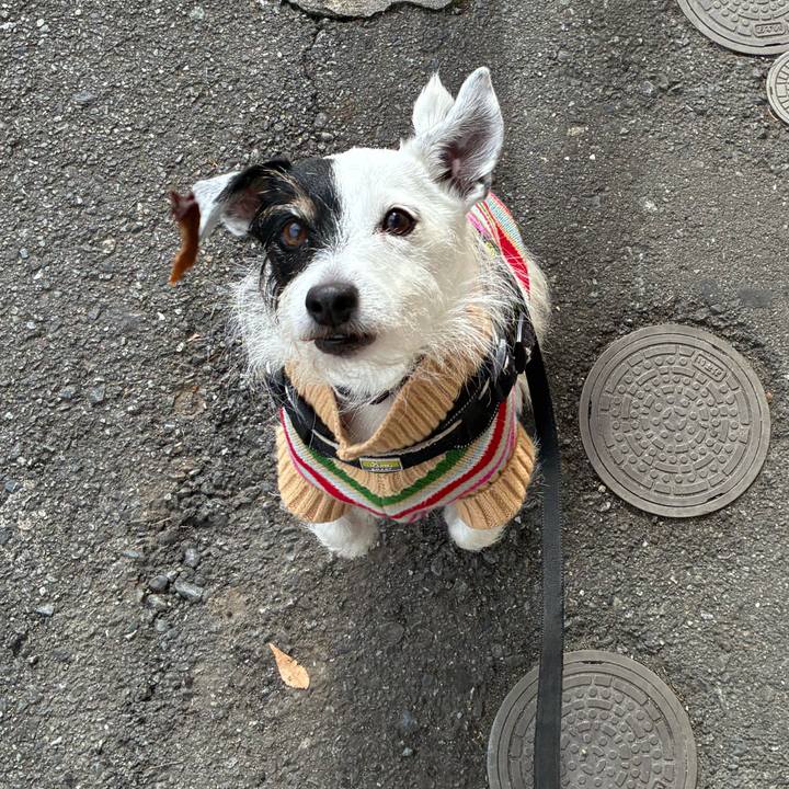 59224674 2689 4104 8cd8 ce98624f86c7 1762911316841