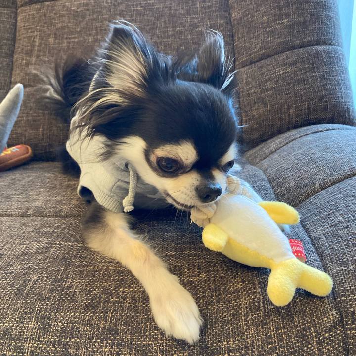 59224744 dfbd 4b11 8603 be8f79f7a5ad 1712400754273