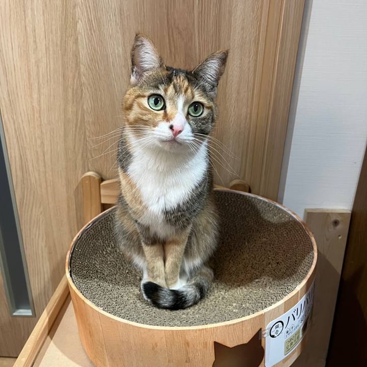 59226226 7228 4991 b1b6 76a407ac1efc 1643761461056