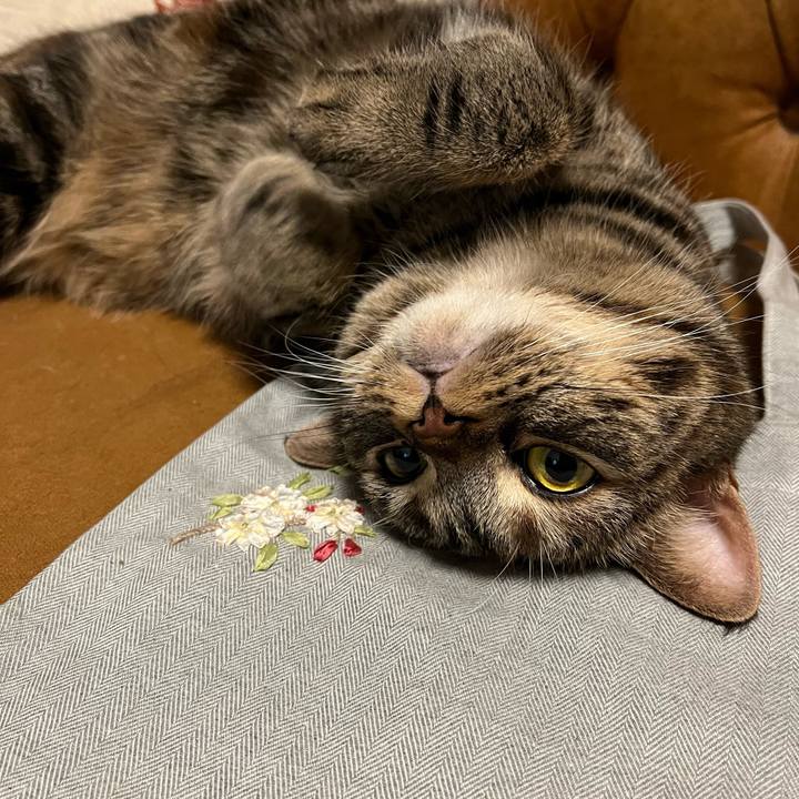 59227d4b f228 47fa 99c7 8d9b056e76e1 1665309764127