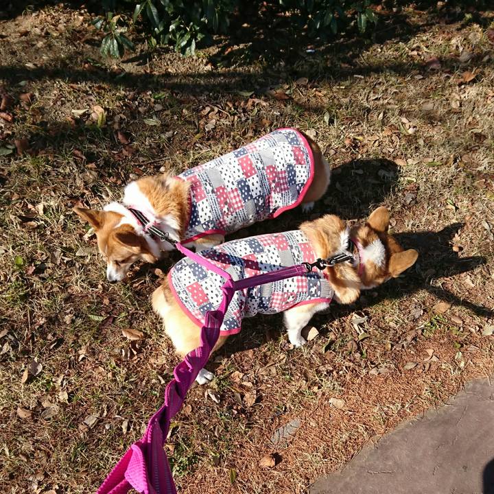 59227e59 4416 4959 b778 4fe177ce3672 1546590210146