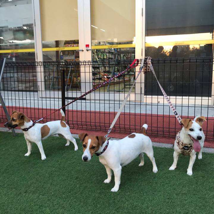 5922cfae 5f51 4694 804b fd7b6e14a691 1605608520035