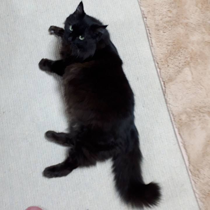 5922d372 8356 434a 992f de27e65090b7 1517825603525