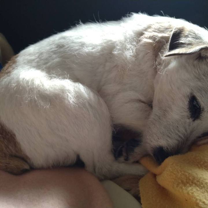 5922d7bb 39b2 40a5 ba66 3ba5f3cb825d 1738756862839