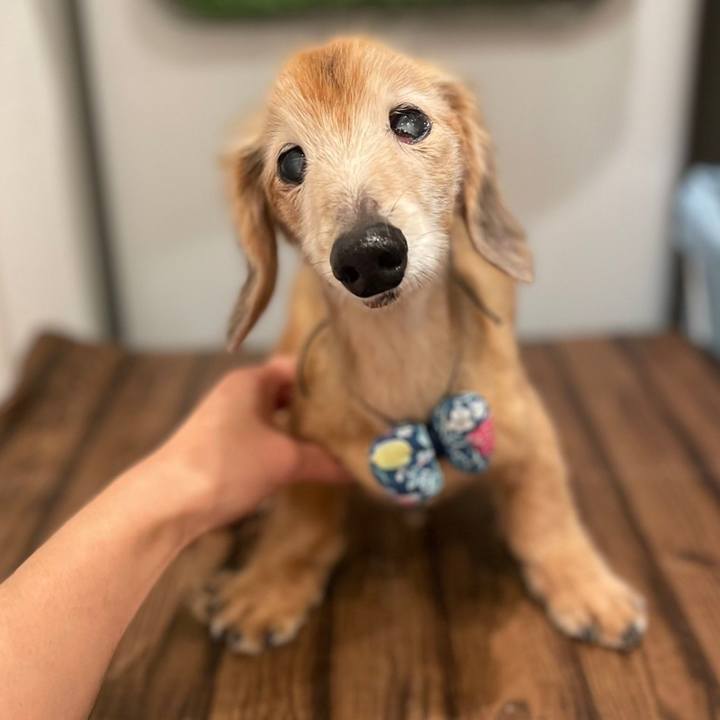 5922f8b9 56f9 40e8 bc6f edea031a3d57 1686675320155