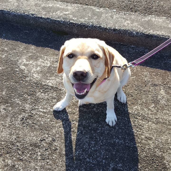 59234072 812b 4db6 bf19 5351a8785245 1512286530352