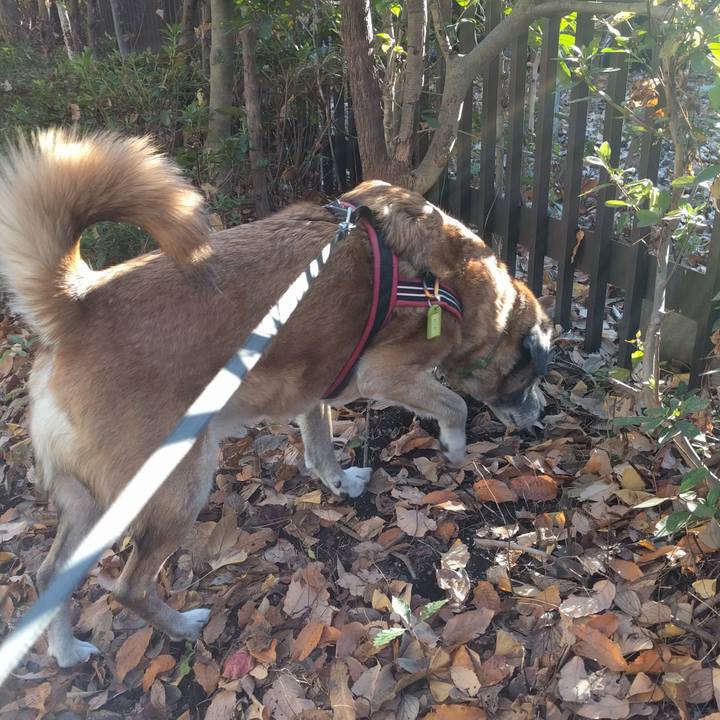 59236850 52dc 4c86 914c da1628c91727 1544745999032