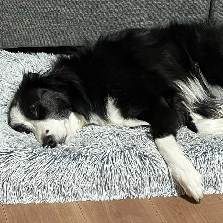 5923864e 28b0 4f16 8075 40d00791ee80 1770992307577