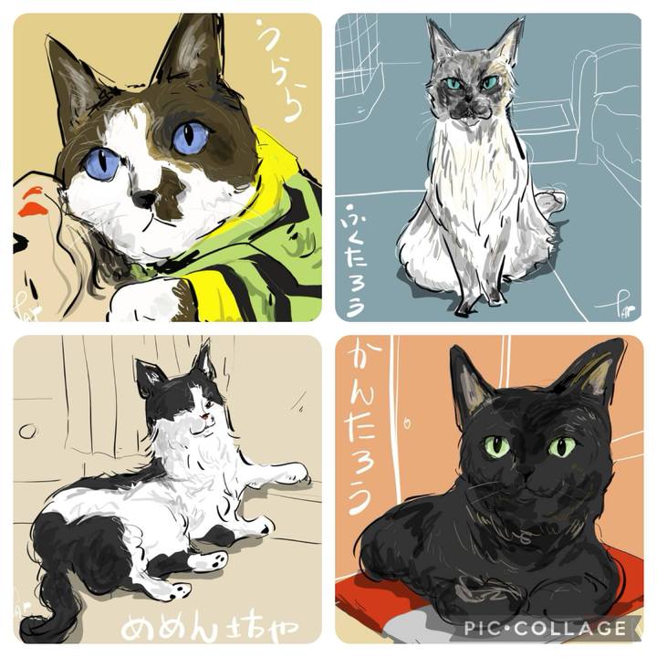 5923940b be30 4cd7 ab47 017303da477b 1712274394160