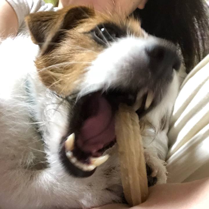 5923b201 2547 4a3b abe9 3b393764e3ab 1525961250178