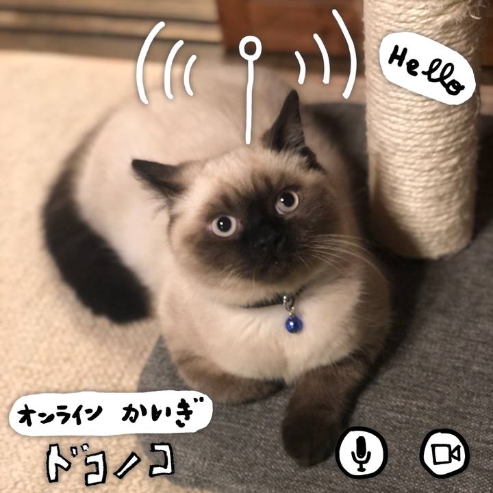 5923b43a 4e5e 436f aa3e 76f8b04dbb07 1590746058906