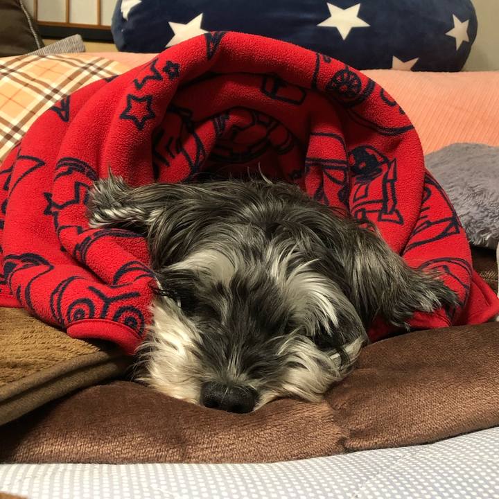 5923e136 318c 490c b5c6 52638628683a 1637325566304