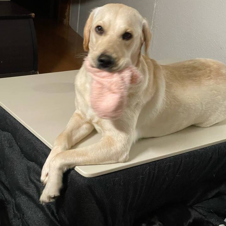 5923e27d 7112 400d a071 af9c26ec8638 1640649447952