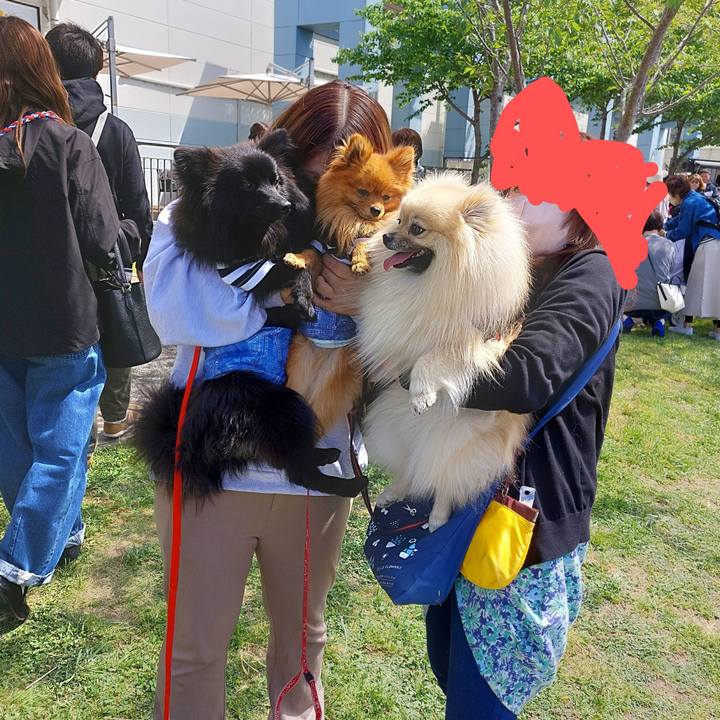 5923e2a1 6e30 4ad1 a6e1 0fb9d071a744 1682246523989