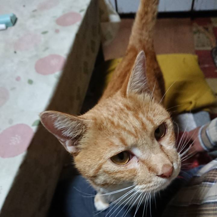 59246970 a262 47d6 8ba8 cb8e8b100efe 1571006205630