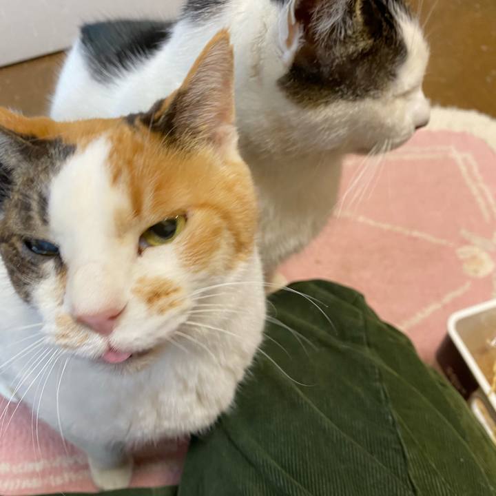 5924b4e7 a353 42ec b9bc 9742daf93c8b 1640085964507