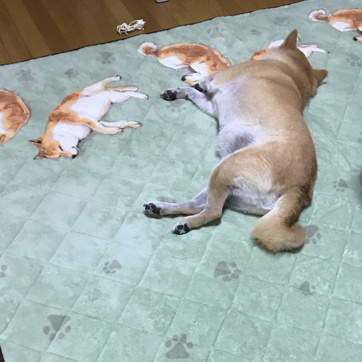 5924e707 0cca 4080 bc2a 692b9acd3712 1539788819871