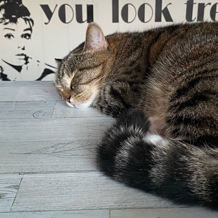 59253517 45cb 43b4 ba69 8ff7f9898822 1627822950878