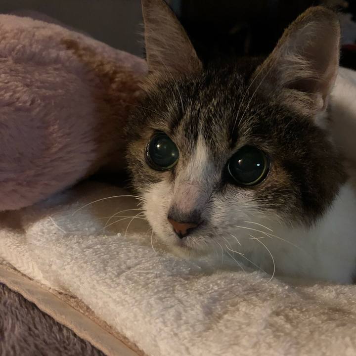 592535b3 0bc7 4d0d ace1 e6f7dd8adb81 1664578565720