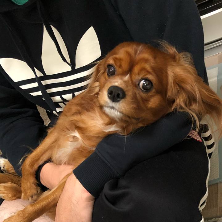 5925540c 7ceb 4f80 a81d a87db9cc102c 1574115969817