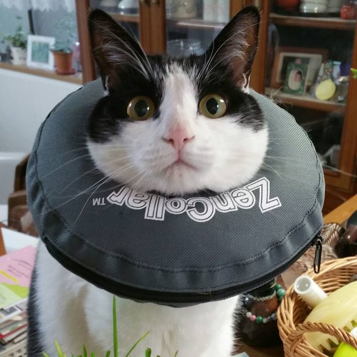 5925a4de 93da 4c22 b153 2079d249388e 1551913189364