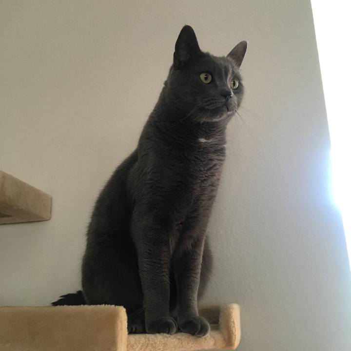 5925b6ef afb8 44de 9cf6 6c2c89a2c22a 1694136091987