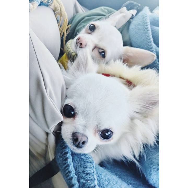 5925e940 de73 473e 88c7 6b91a6d2492c 1764404965363