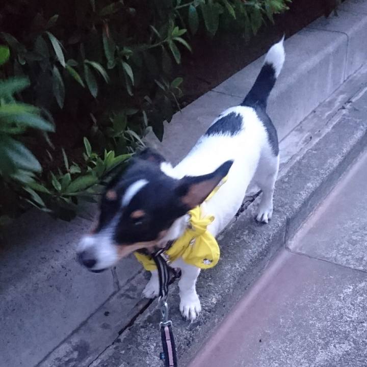 5926058f 1d4b 434c 8ee1 71b5b3551587 1532427047434